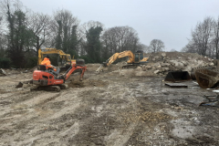 finch elmswell ltd demolition